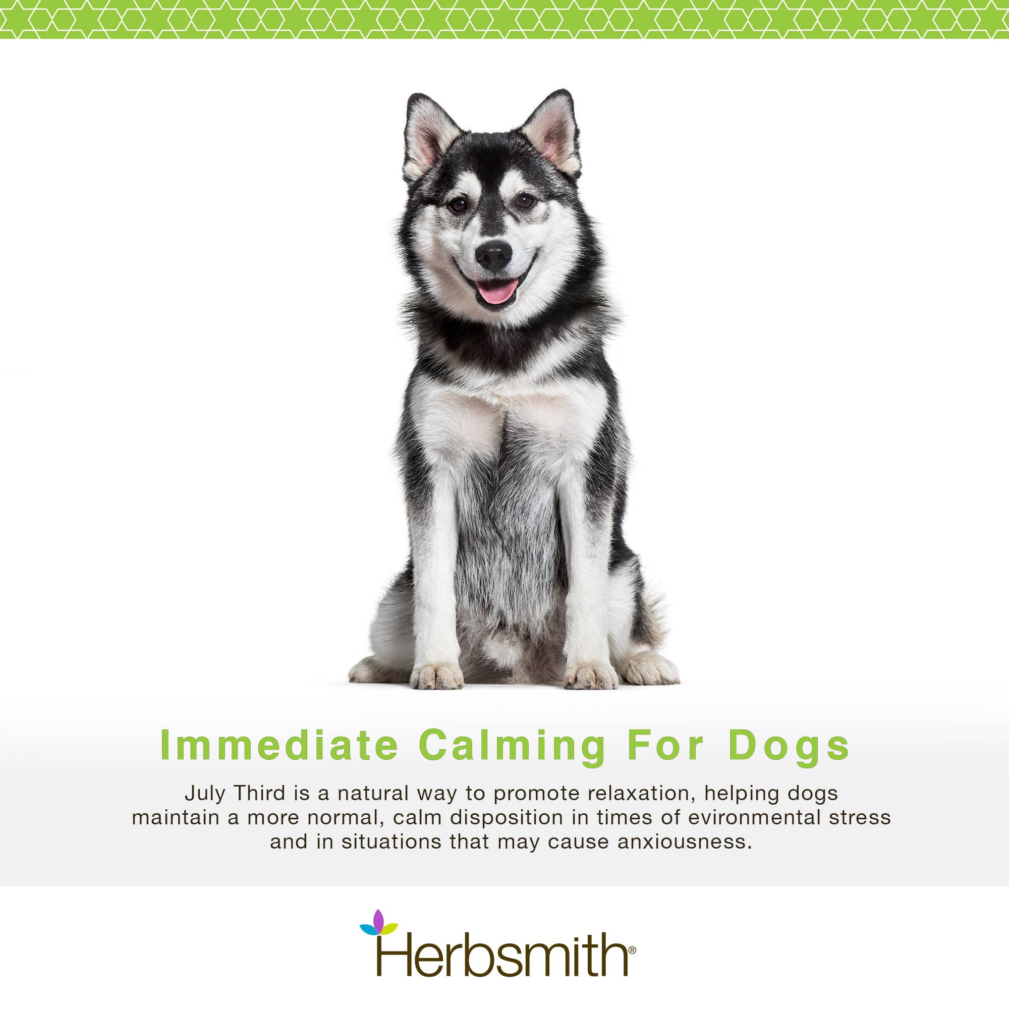 Herbsmith - Wholesale Pet Supplement - Dog - July Third - Immediate Calming Treats for Dogs2