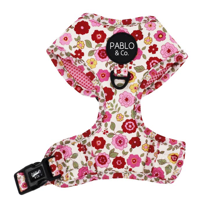 Pablo & Co. Boutique - Wholesale Pet Harness - Dog - Primrose: Adjustable Dog Harness6