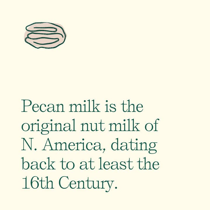 Treehouse Naturals - Wholesale Non-Dairy Milk - Original Pecanmilk - 8 oz5