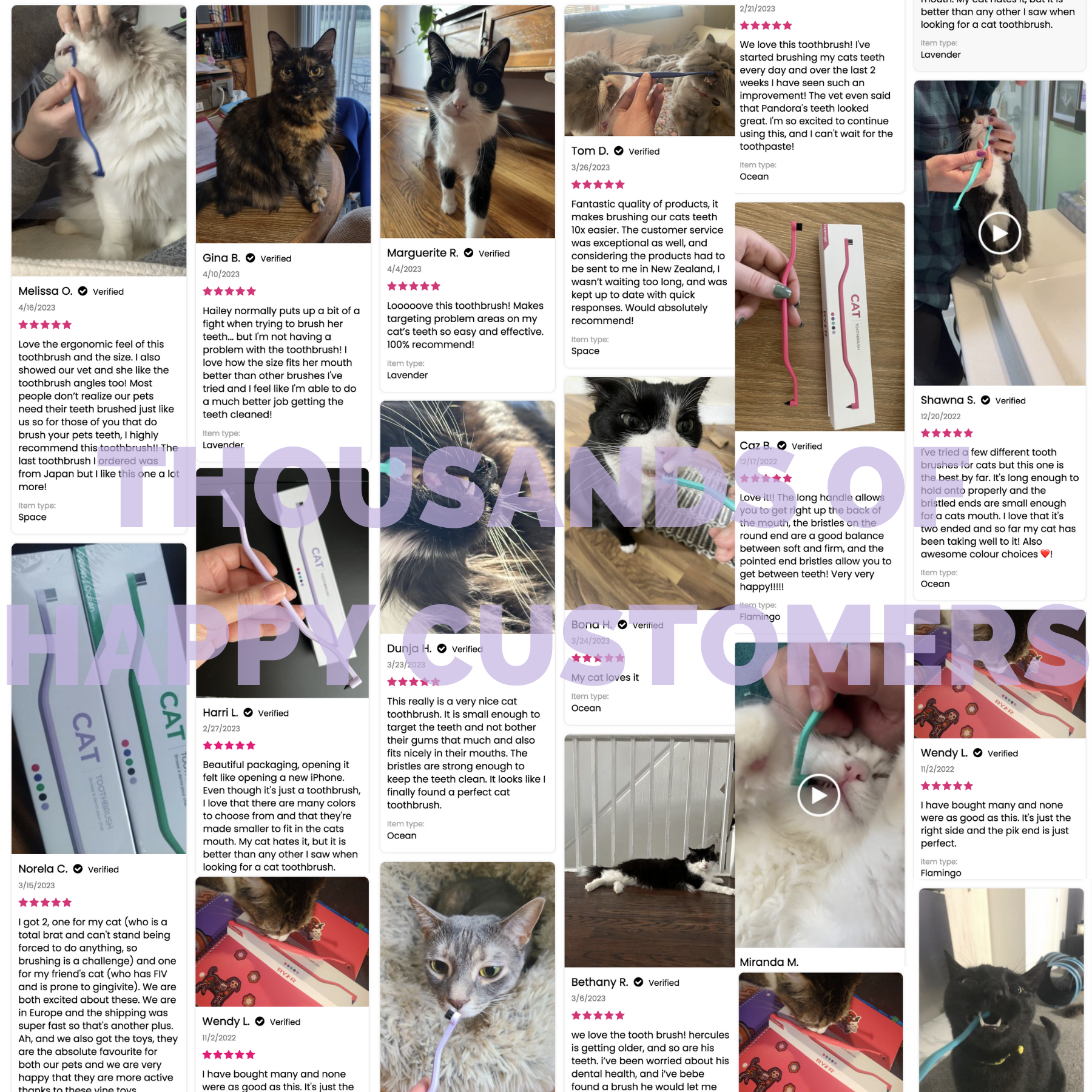 RYERCAT - Wholesale Pet Brush - Cat/Dog - Dual Sided Cat Toothbrush - Mix n' Match Colors!8