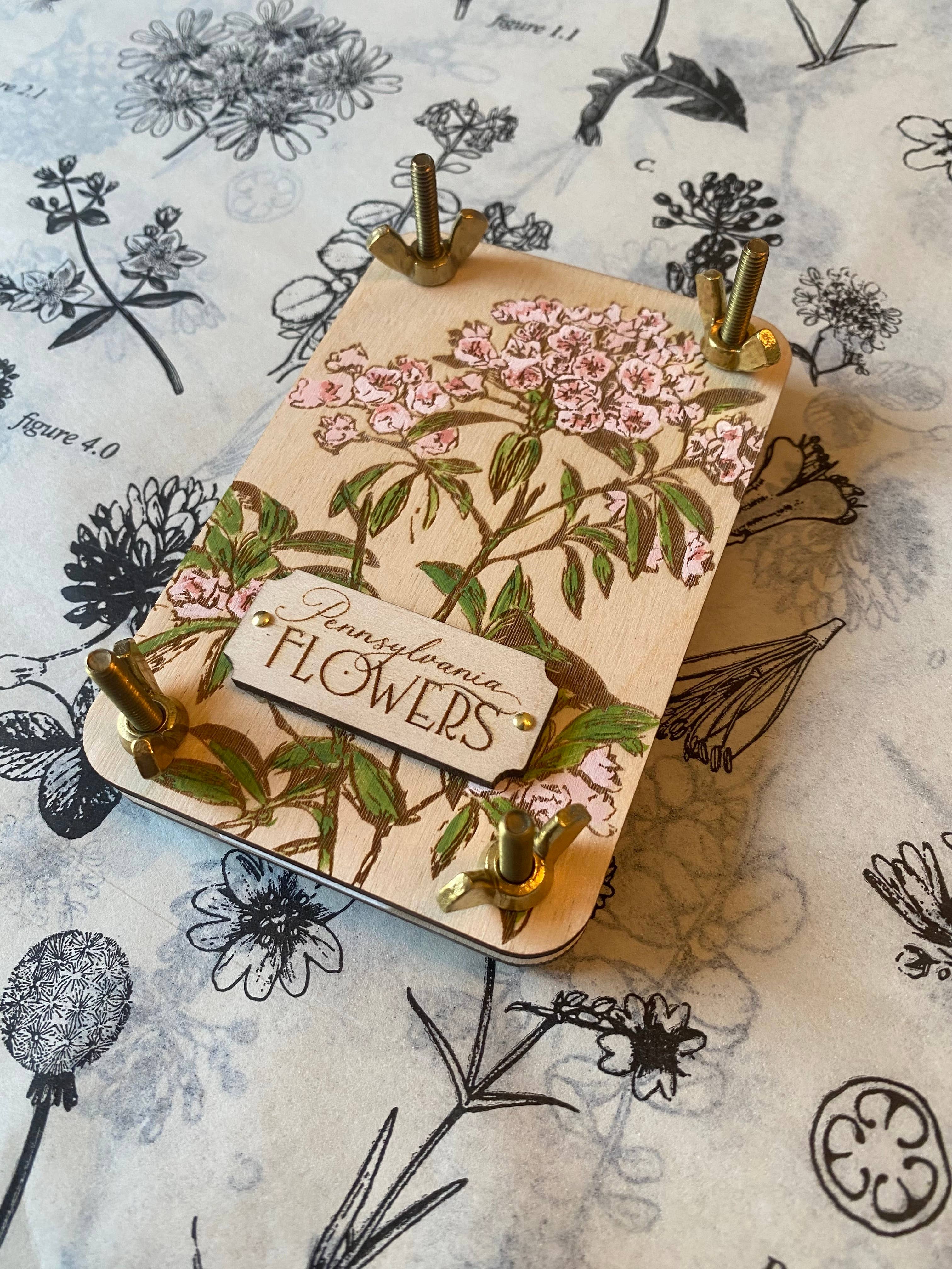 Holly Hills Lane – Engroshandel DIY-hobbysæt – Blomstpresser-sæt – Perfekt gave til haveentusiaster og blomsterelskere2