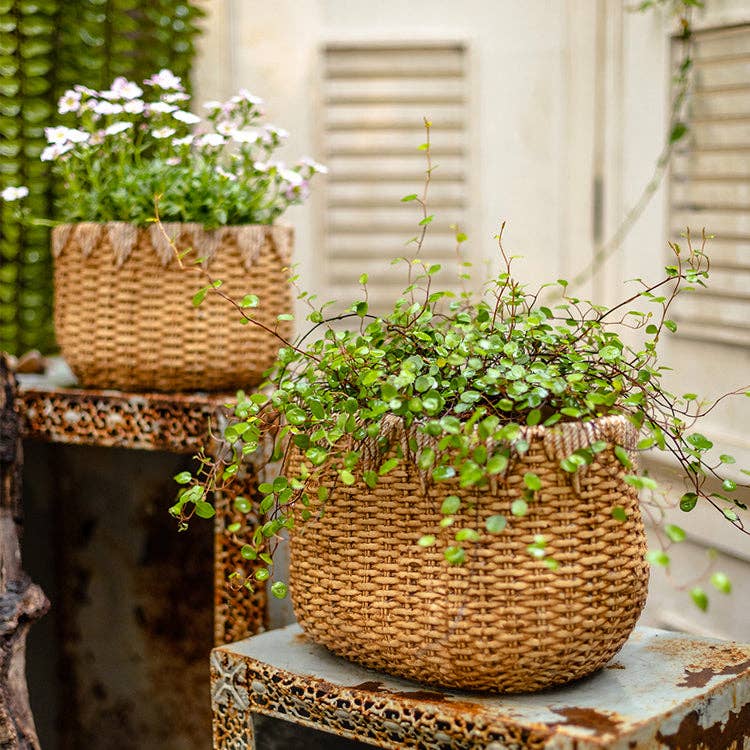 Rustic Reach - Vente Pot - Jardinière en ciment Lady Straw Basket7
