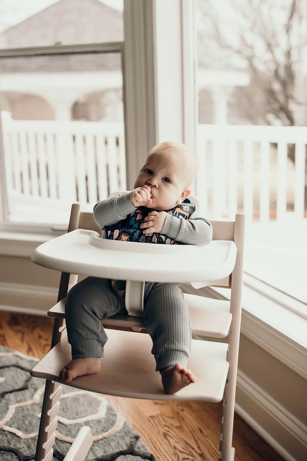 Three Little Tots - Wholesale Bib - Baby - Zoo Lion Print Silicone Bib with Crumb Catcher17