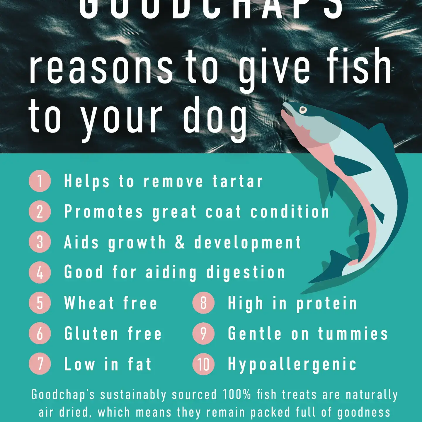 Goodchap's – wholesale Pet treats – Dog – Lil' Scamp's Fish Bites | CDU of 10 Packs 11