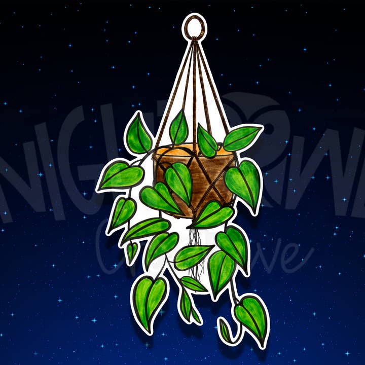 Adesivo de pothos em uma panela de macramê por atacado de The Night Owl Creative