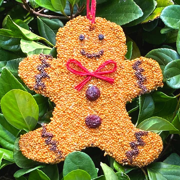 Gingerbread Man Christmas Cookie for wholesale by Mr Bird