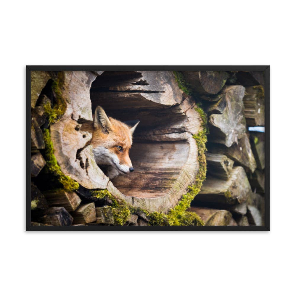 Pipa Wall Art & Home Decor - Wholesale Art Print - Young Red Fox Face In Mossy Stump Wildlife Nature Framed Art20