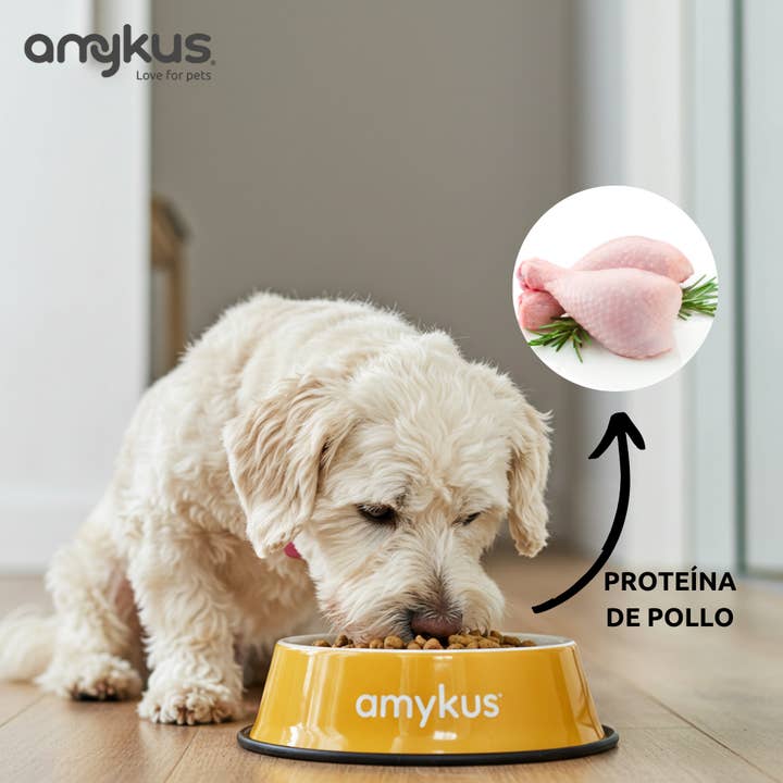 Amykus - Wholesale Pet Food - Dog - Amykus Original Mini Adult 4