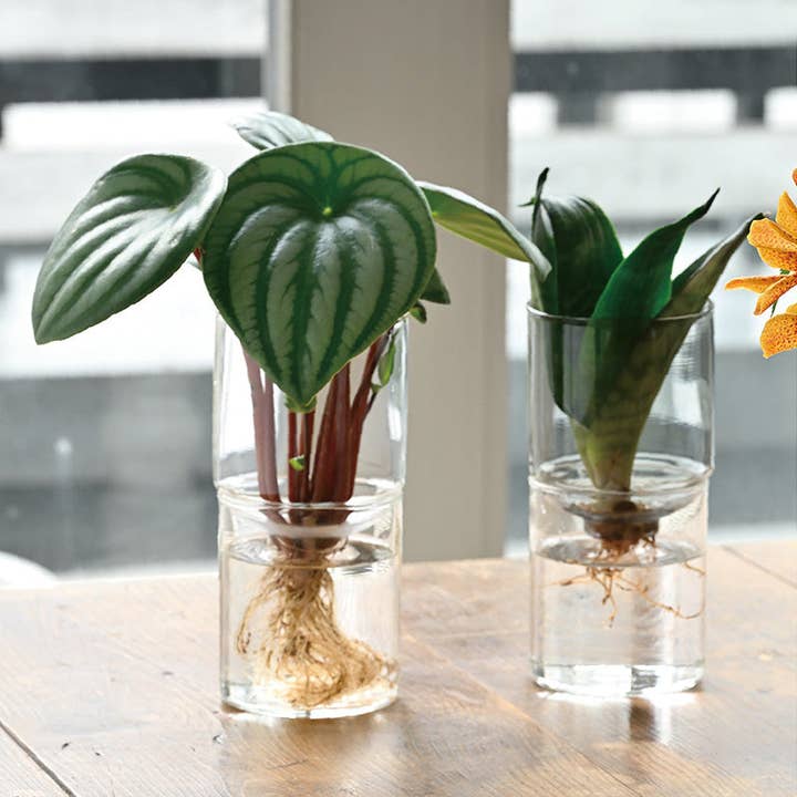 HARIO USA - Wholesale Vase - Glass Flower Vase3