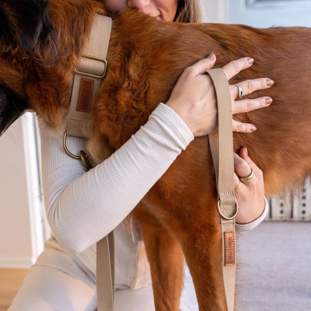 Tilley + Me - Wholesale Pet Leash - Dog - Hemp Cotton Dog Leash - Adjustable & Lightweight25