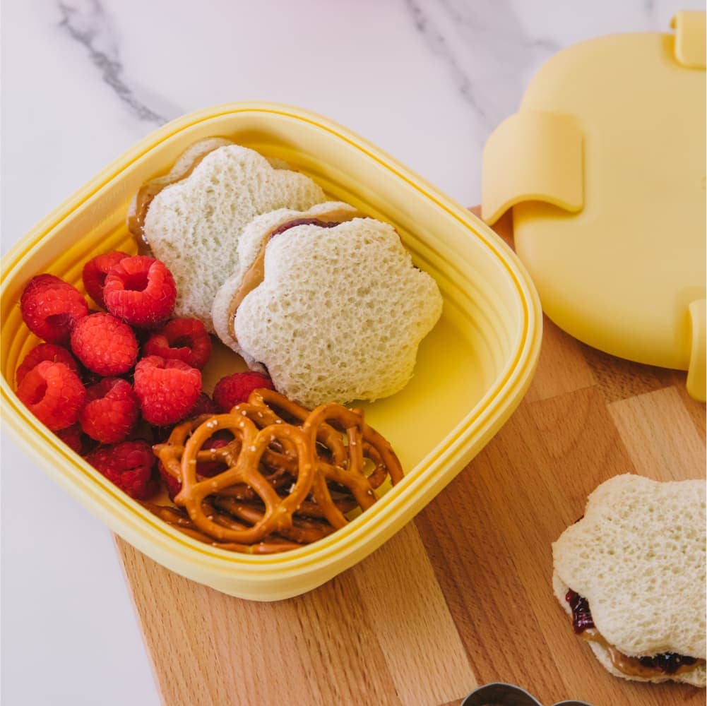 Stojo - Wholesale Food Storage Container - 24 oz Collapsible Jr. Food Storage Box - All Packaging9