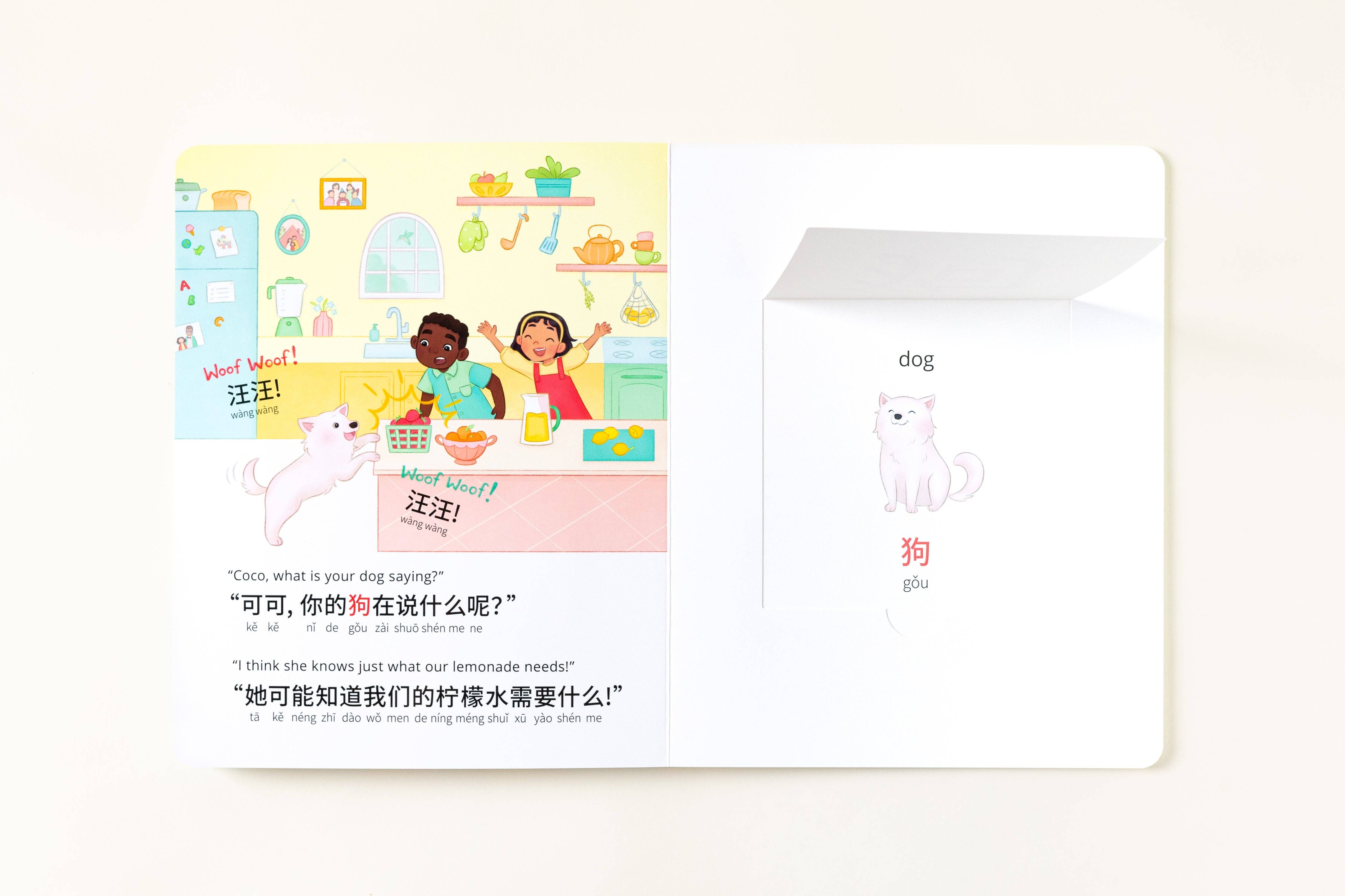 Spark Collection - Vente Livre pour enfants de maternelle (de 3 à 5 ans) - Coco's Lemonade : chinois-anglais simplifié6