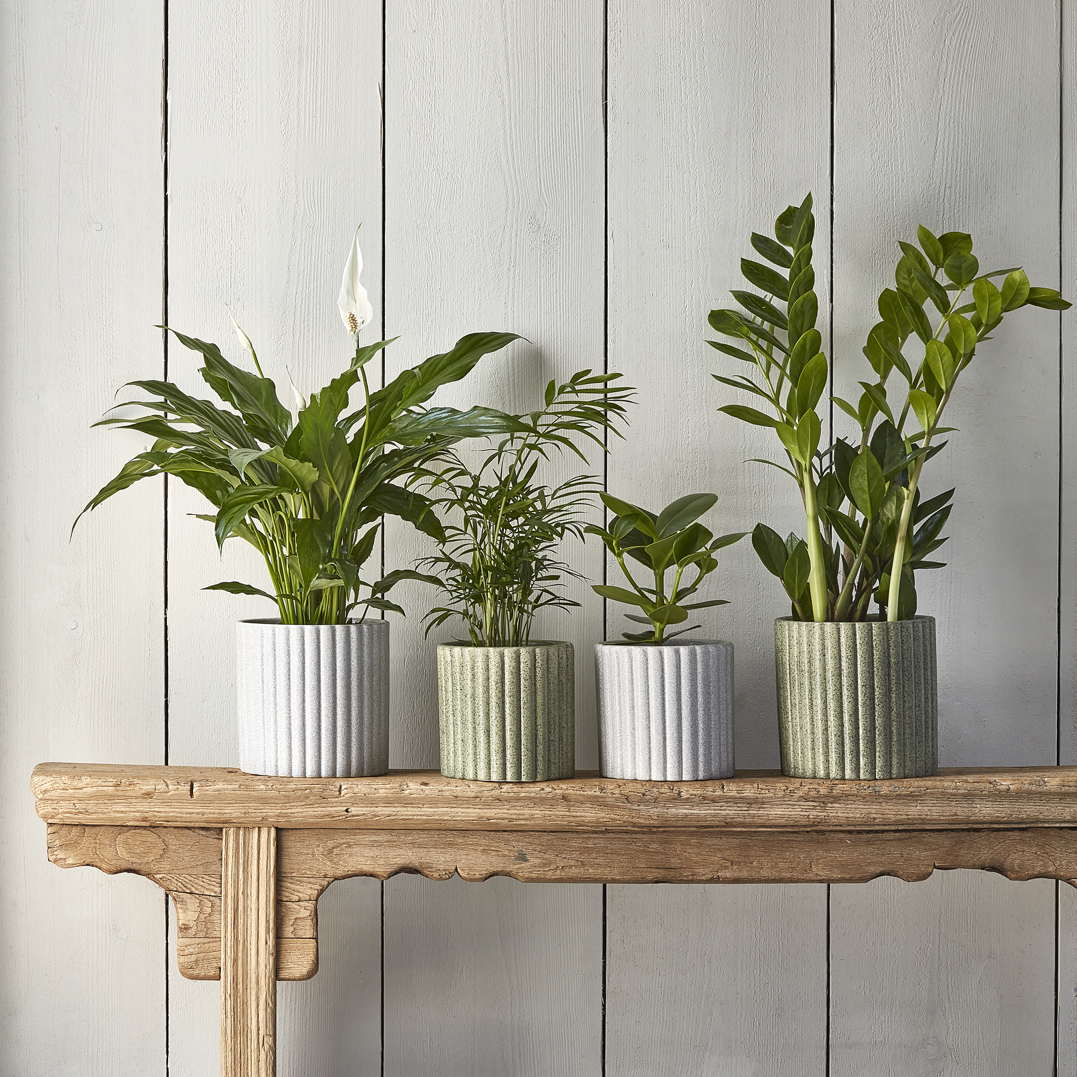 Ivyline – wholesale Indoor pot – Azalea Stone Ribbed Speckle Earthenware Indoor Planter4