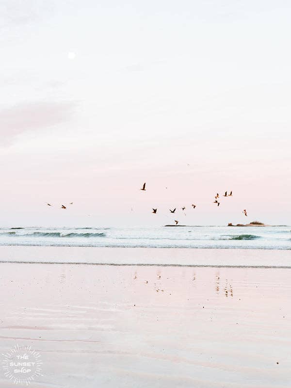 The Sunset Shop - Wholesale Art Print - Sunrise Seeking0