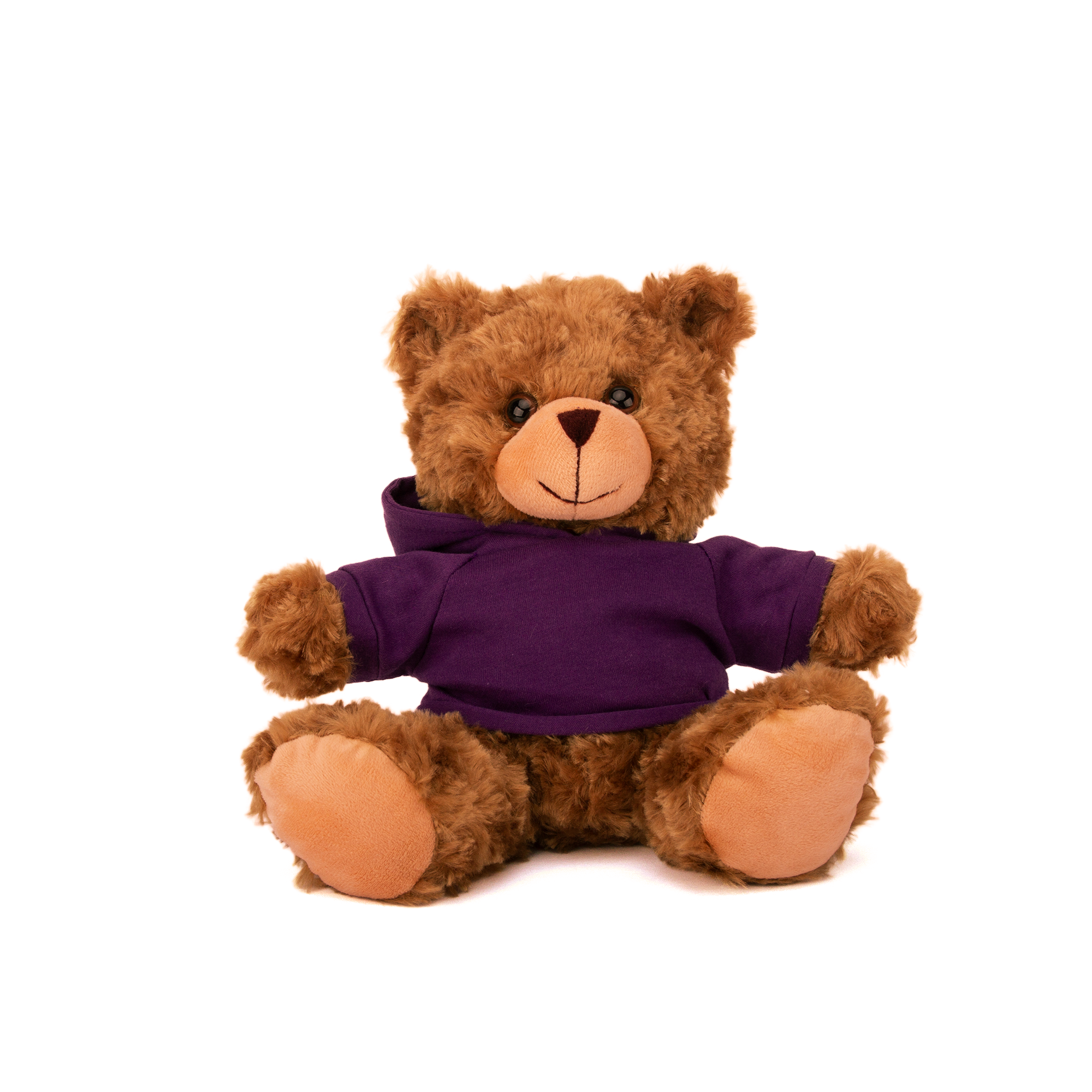 Plushland - Wholesale Stuffed/Plush Toy - Kids & Baby - 11" Personalized Teddy Bear in Hoodie | Custom Sitting Bear13