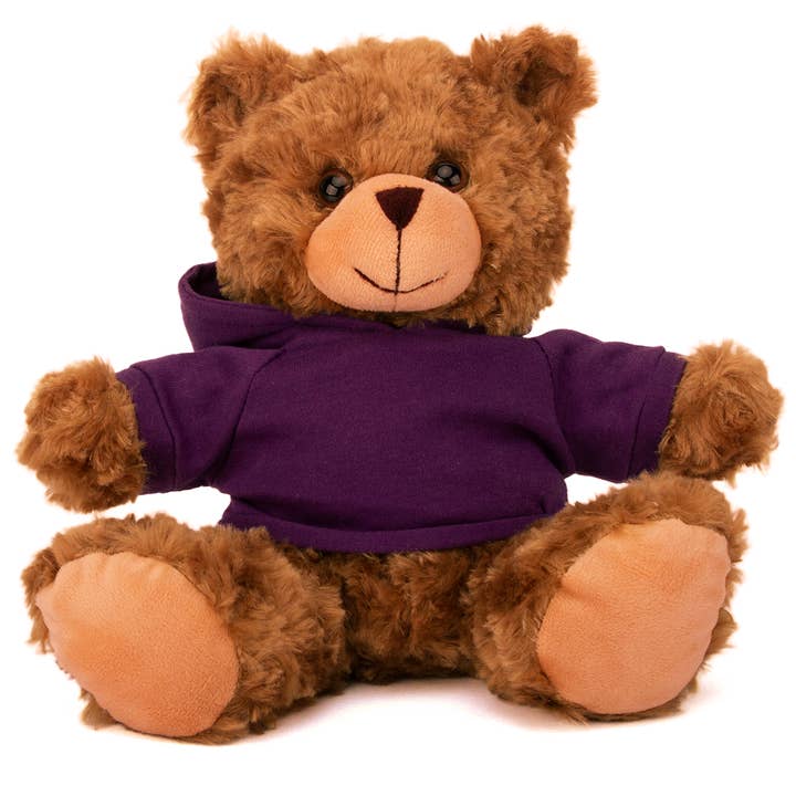Plushland - Wholesale Stuffed/Plush Toy - Kids & Baby - 11" Personalized Teddy Bear in Hoodie | Custom Sitting Bear40