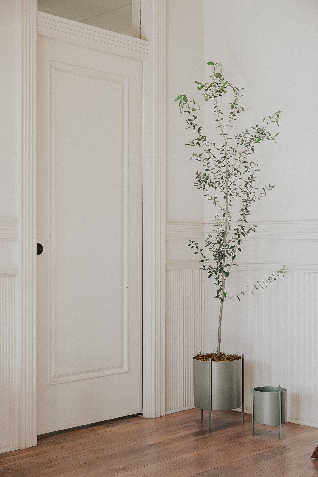 SUNNY HOME - Wholesale Plant Pot - Large Green Botanic Plant Pot with Stand3