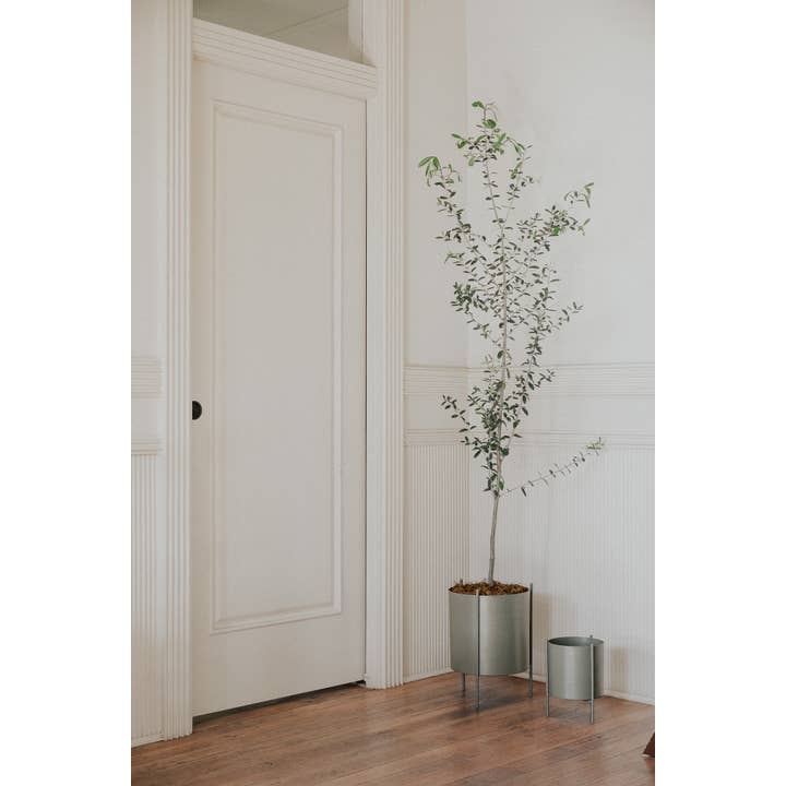 SUNNY HOME - Wholesale Plant Pot - Large Green Botanic Plant Pot with Stand3