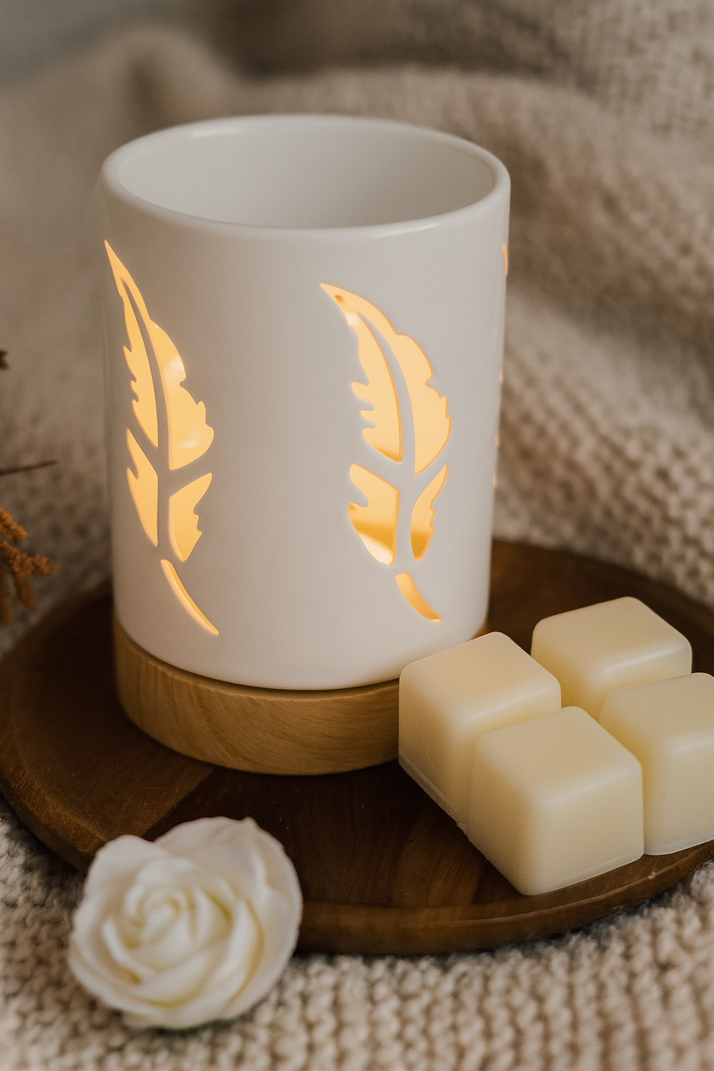 Cirabella-Sensaura srl - Wholesale Wax Warmer - Burner for white fondant sheet0