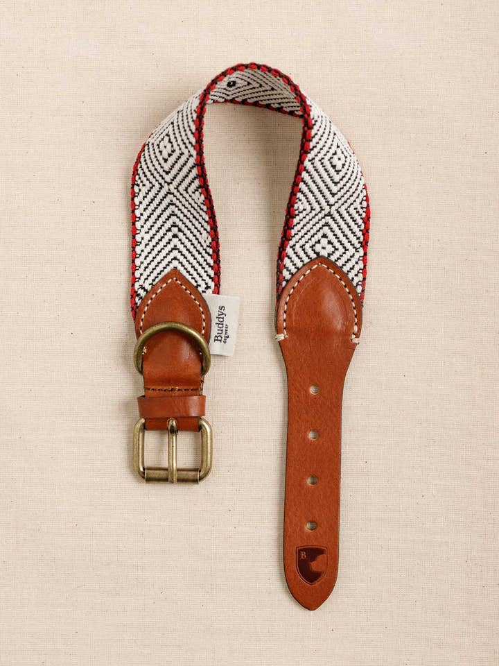 Collier pour chien Capri Beach Day pour la vente par Buddys dogwear