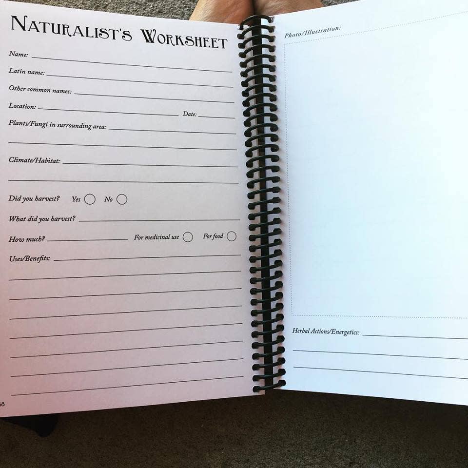 Rooted Apothecary - Wholesale Journal/Diary - Wildcraft  Journal3