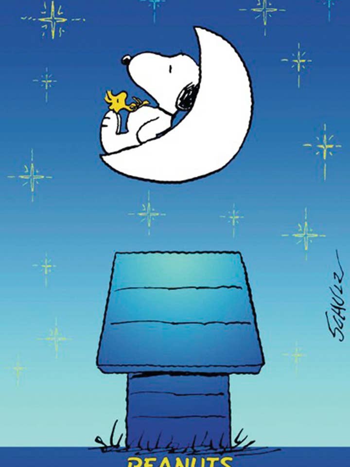 Peanuts poster 99 x 68 cm for wholesale by Close Up GmbH