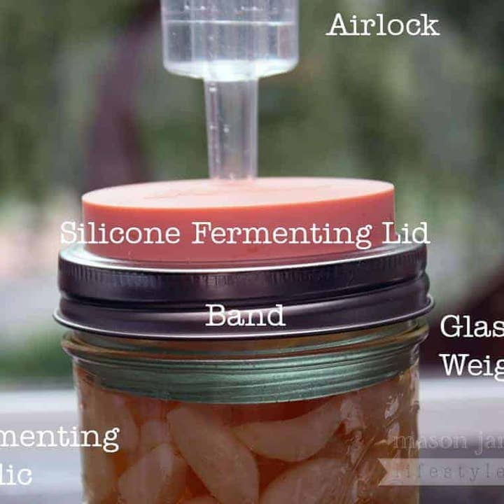 Mason Jar Lifestyle - Wholesale Drink Lids - Silicone Straw Hole Tumbler with Stainless Steel Band for Mason Jars26