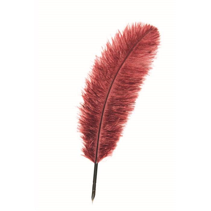 Manuscript – Großhandel Stift – Manuskript Dekorative Federkiel - sortiert1