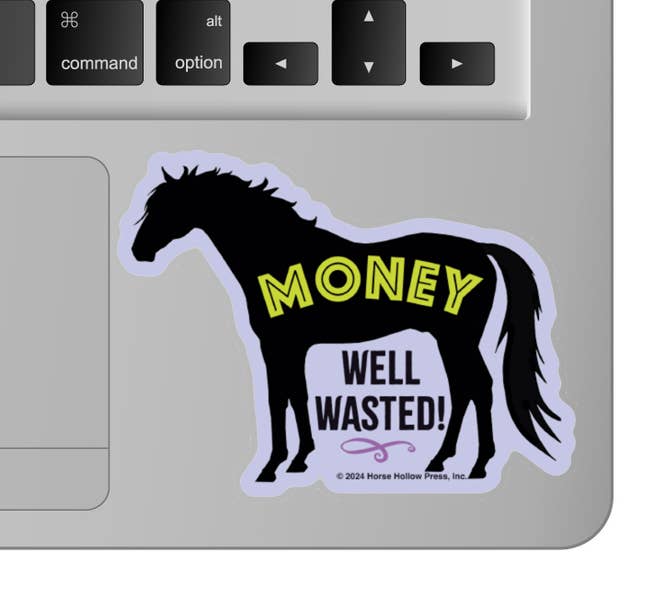 Horse Hollow Press - Wholesale Sticker - 3" Tumbler Horse Sticker / Money Well Wasted / WATERPROOF1