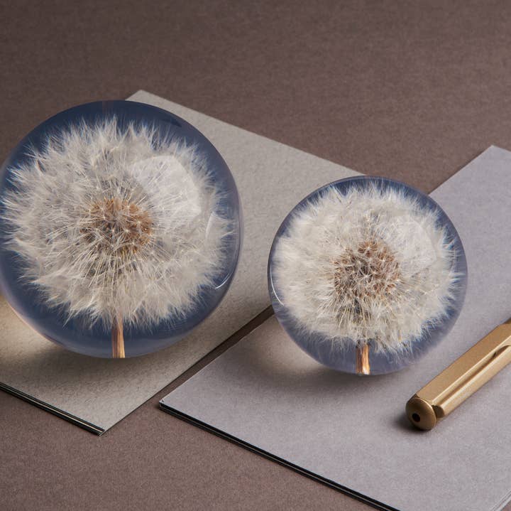 Fermacarte con soffione per la vendita all'ingrosso da parte di Hafod Grange Ltd