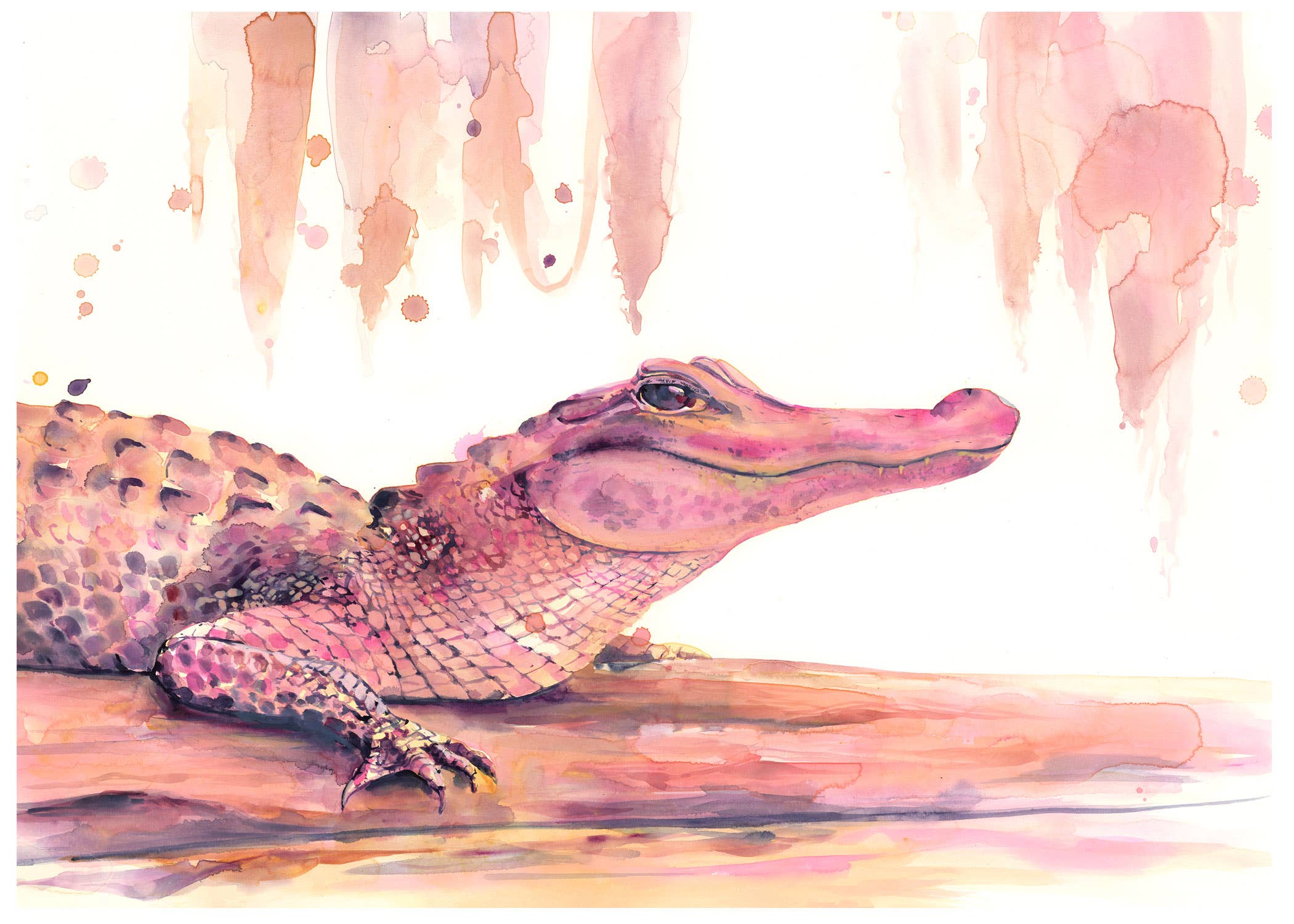 Lyla Clayre Studio - Wholesale Stationery/Notecard Set - “Pink Alligator” Watercolor Note Card2