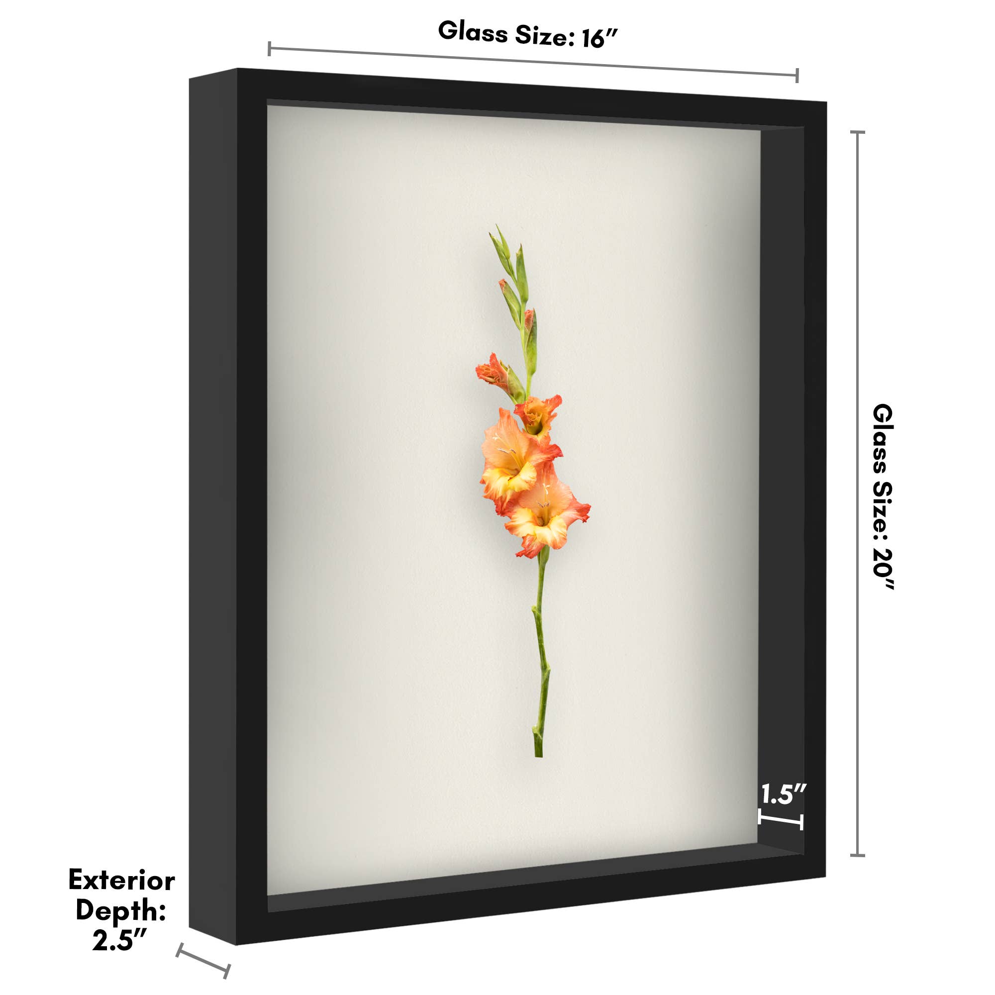 Americanflat - Wholesale Picture Frame - Americanflat Shadow Box Frame with Soft Felt Back37