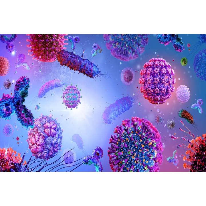 Medical Office Art - Fungi medical per la vendita all'ingrosso da parte di Queence