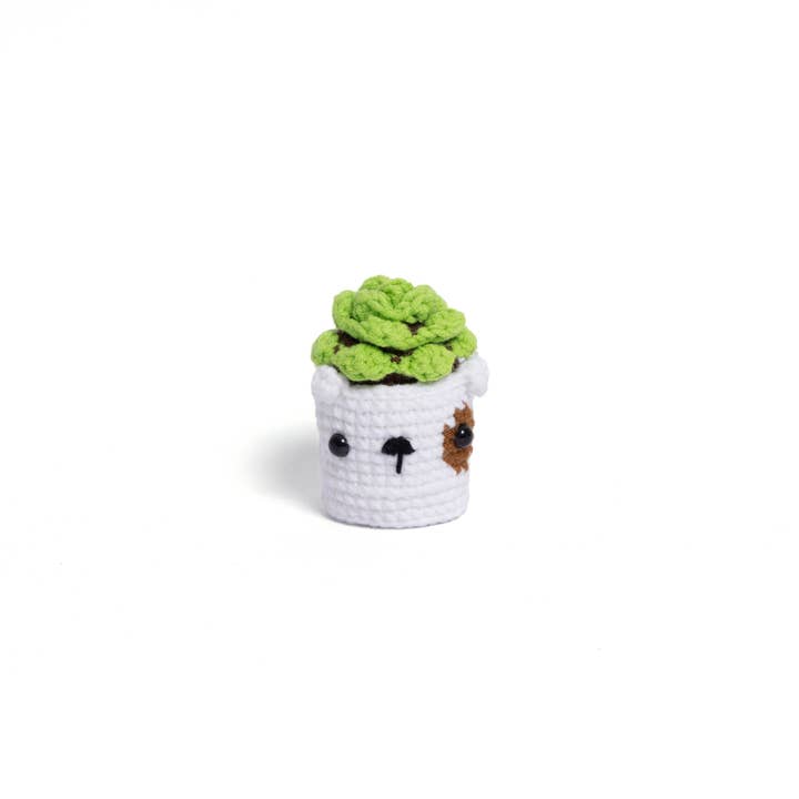 Momo & Loloc Crochet - Wholesale Artificial Plant - NEW members join Cactus Family!1