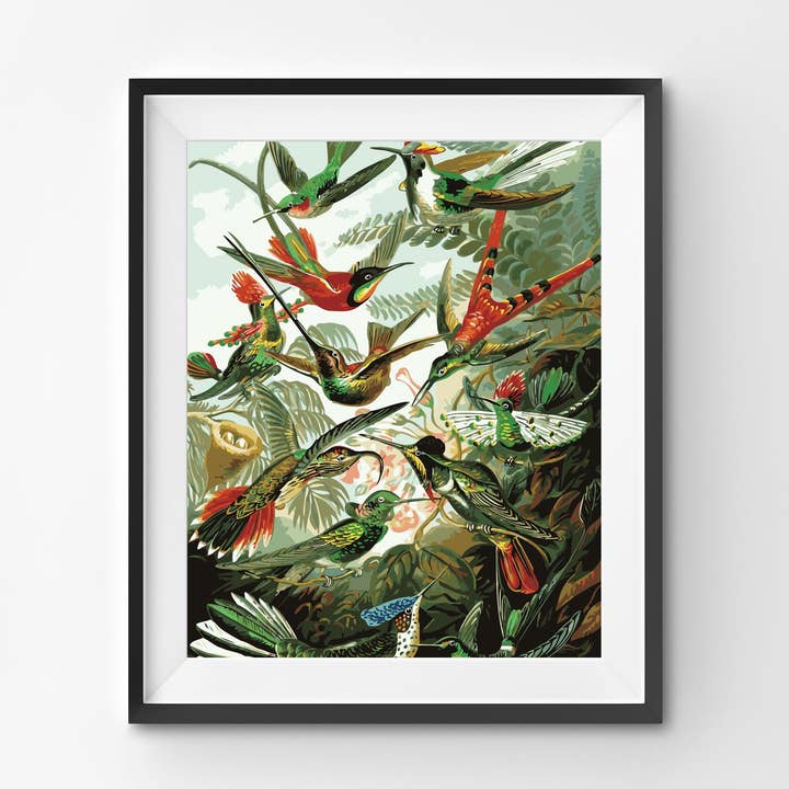 Kolibrier, af Ernst Haeckel - DIY Mal efter tal - Gave 2025 for engroshandel hos Winnie's Picks