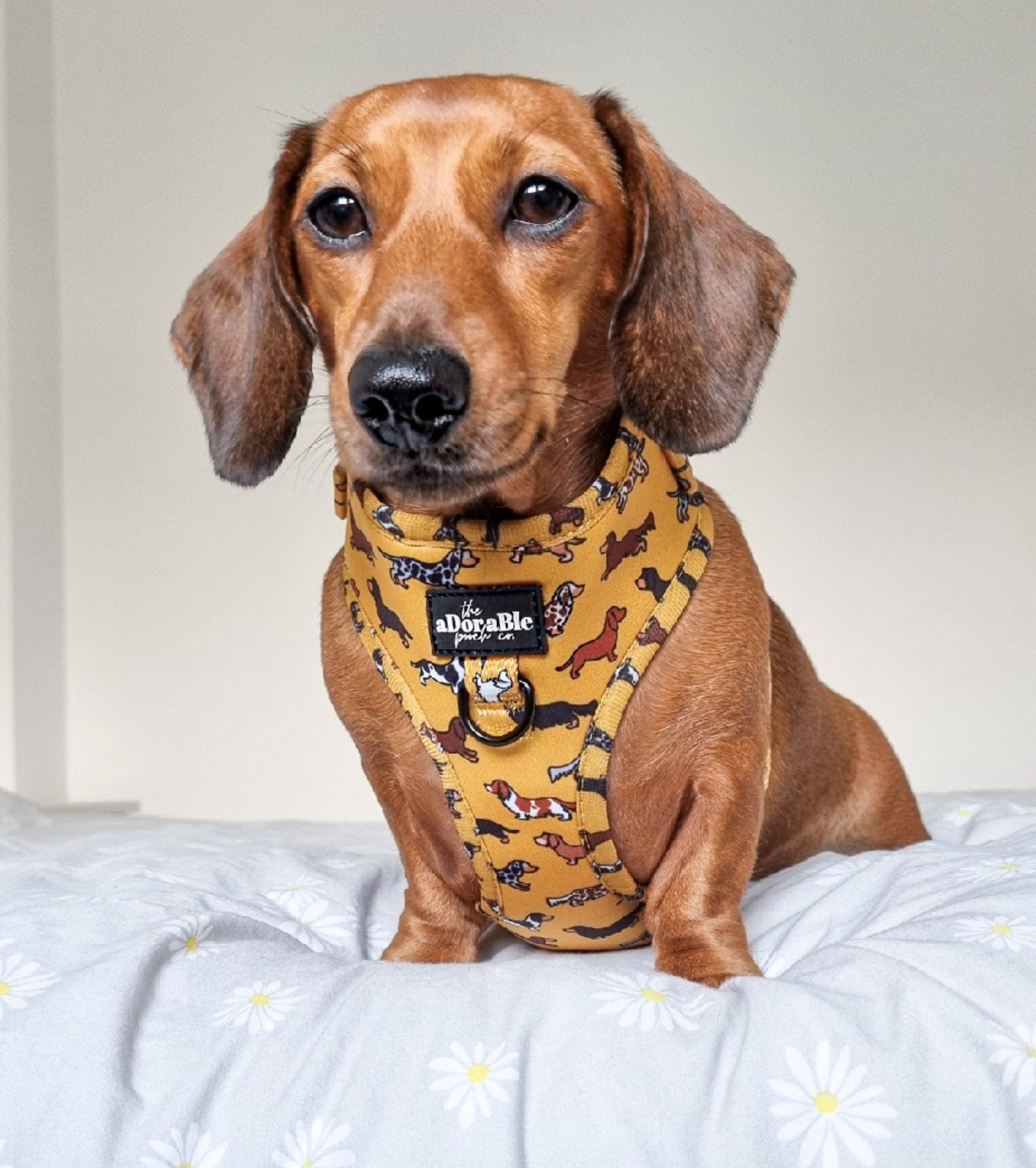 The aDoraBle Pooch Company - Wholesale Pet Harness - Dog - Adjustable Harness - Dashing Dachshunds11