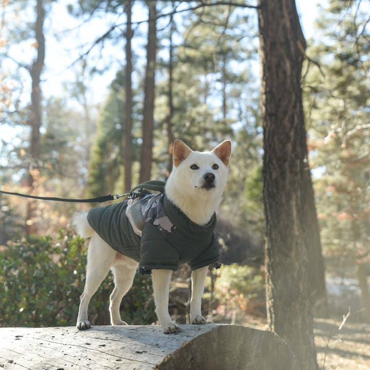 Olijf #74222 Mountaineer jas Camo voor groothandel op Faire5