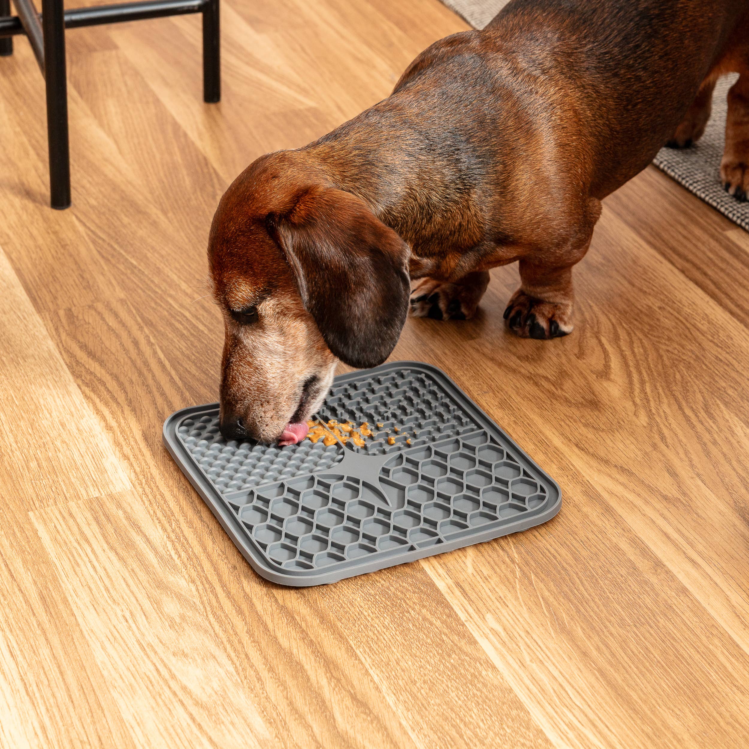 Park Life Designs – wholesale Pet food mat – Dog – Calming Lick Mat8