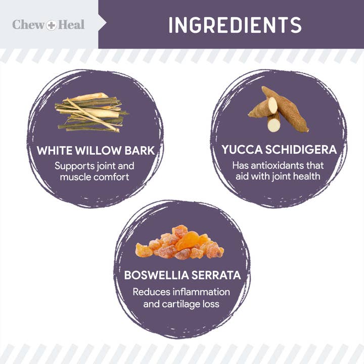 Chew + Heal - Wholesale Pet Supplement - Dog - Senior Mobility and Vitality Tablets, 120 Count 2