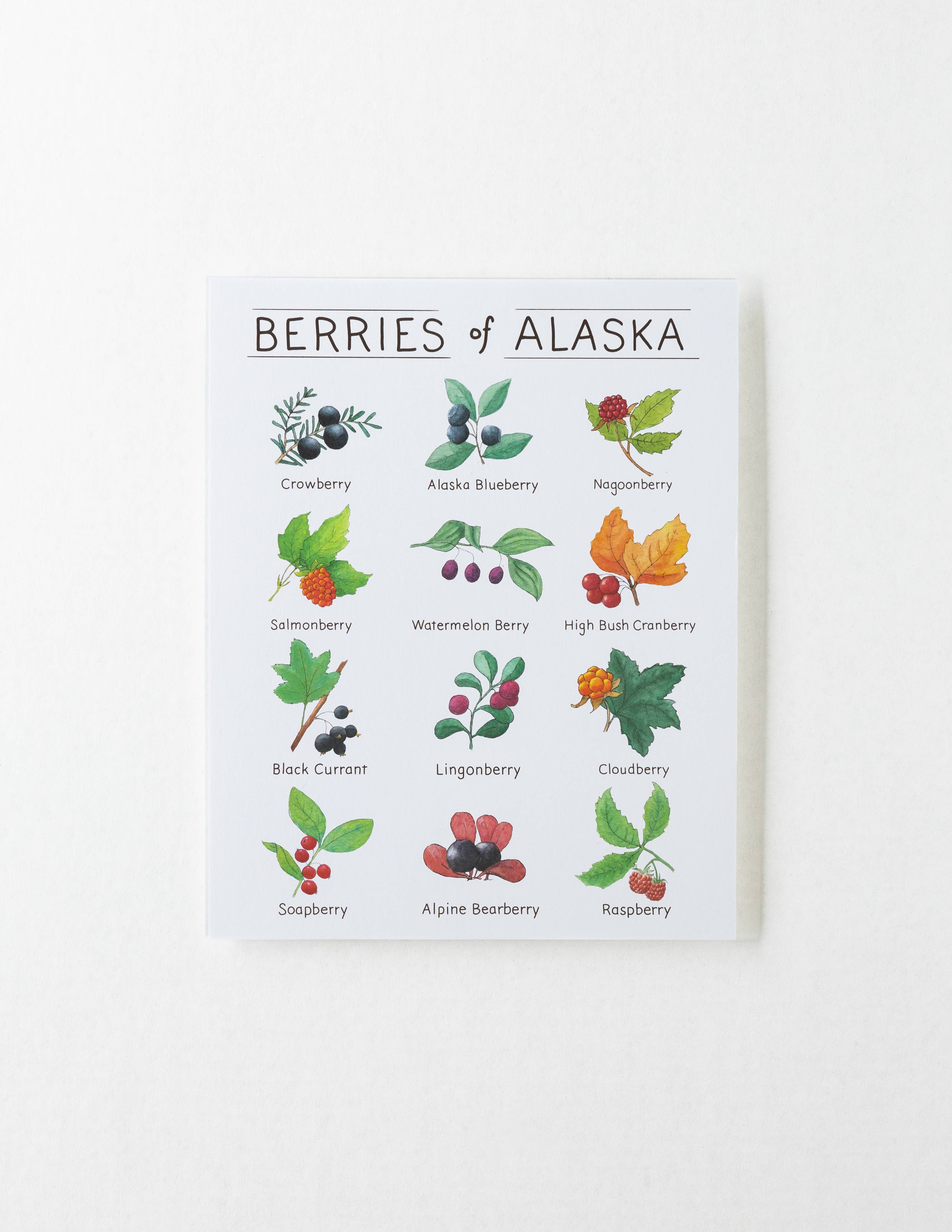 Tiny Nest Studio - Vente Affiche d'art - Impression artistique sur les baies d'Alaska2