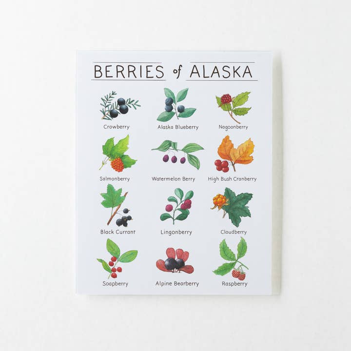 Tiny Nest Studio - Venta al por mayor Ilustración - Lámina artística Berries of Alaska2