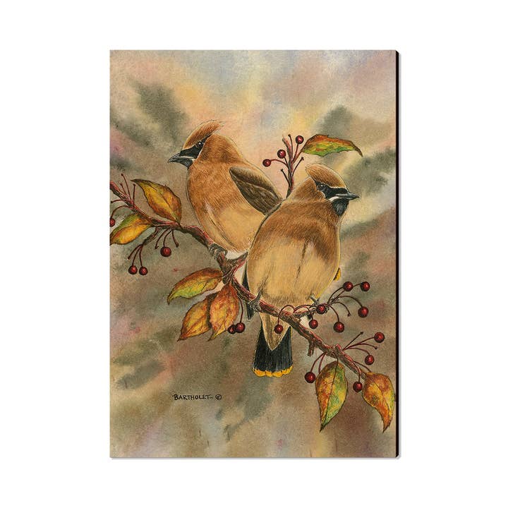 Cedar Waxwings - Cartes postales et aimants en bois et autres tendances Résultats pour paillis cèdre pour terrain jeux en vente B2B. Retours gratuits et paiement à 60 jours sur Faire sur Faire.