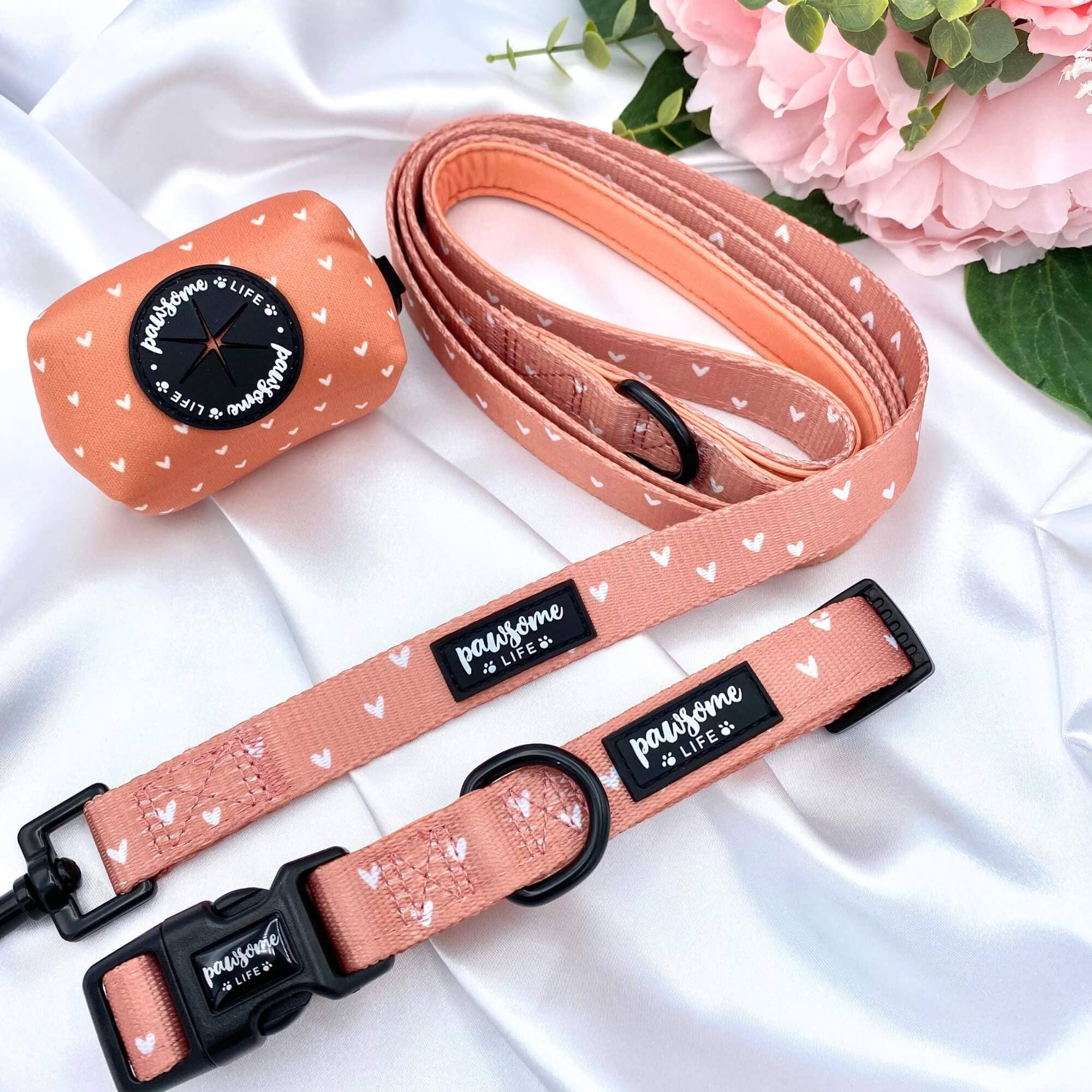 Pawsome Life - Wholesale Pet Collar - Dog - Dog Collar Puppy Collar Designer Dog Collar and Lead Orange6