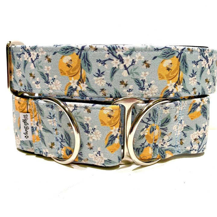 Lemons Dog Collar for wholesale by Wiggle Bumz