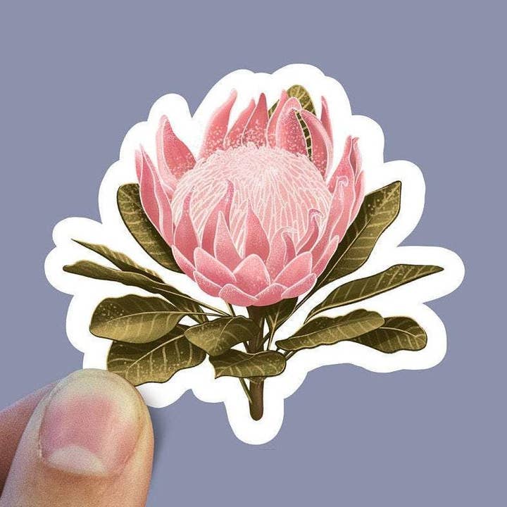 Pink Protea Vinyl Sticker for wholesale by Sweet Humors