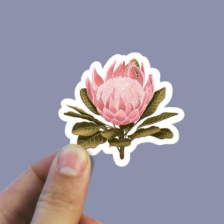Pink Protea Vinyl Sticker for wholesale by Sweet Humors