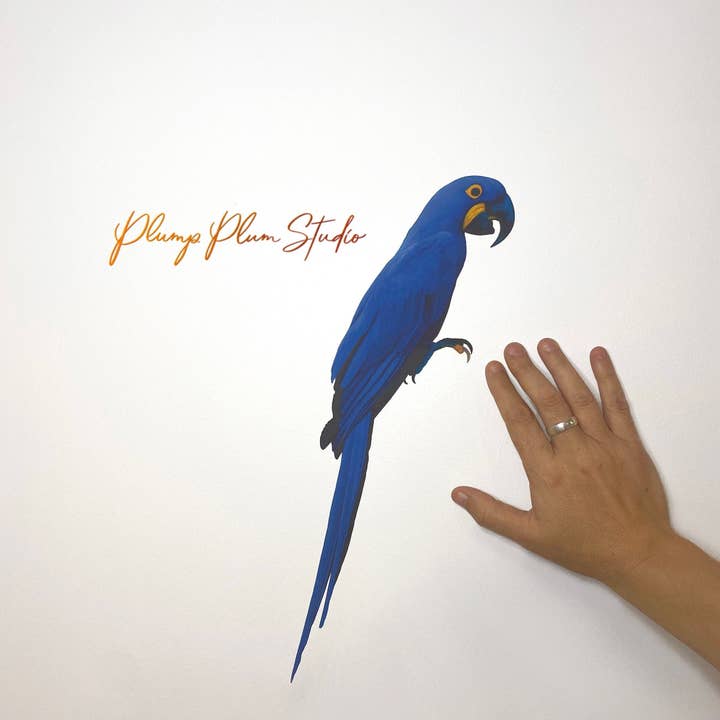 Plump Plum Studio – wholesale Fönster-/väggdekal – Hyacint Macaw dekal, Blå ara klistermärke, blå papegoja