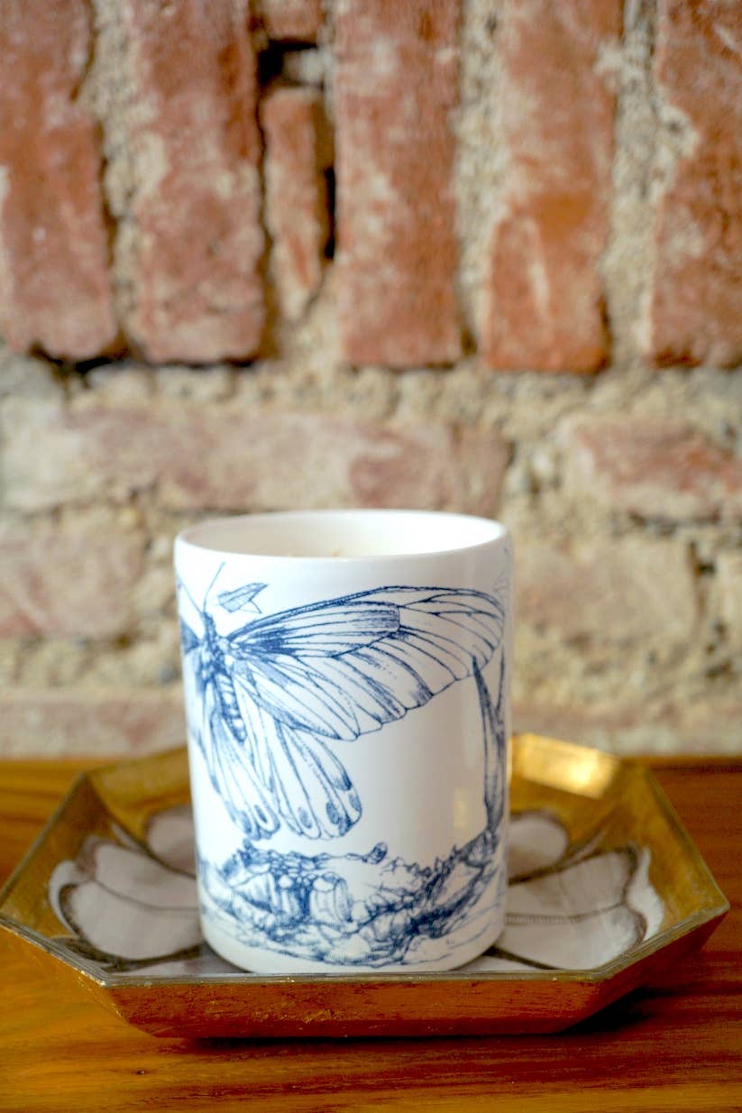 FESTINA LENTE MILANO - Wholesale Candle Holder - CARPE DIEM 400gr (14oz) 3-Wick Niche Scent Candle in Ceramic