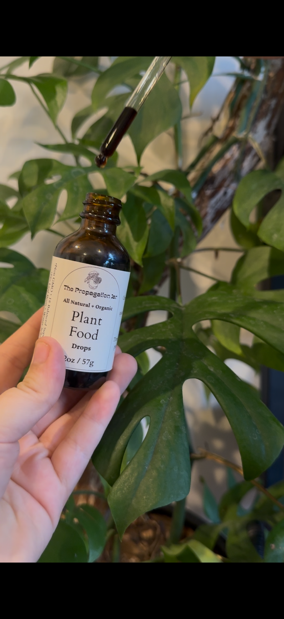 The Propagation Jar - Wholesale Fertilizer - All Natural Plant Food Drops2