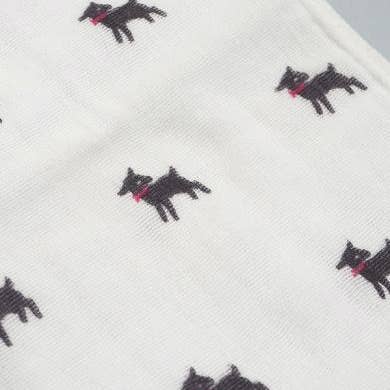 "Japacolle" Japan Collections - Wholesale Hand Towel - AXCIS Fluffy gauze Face towel